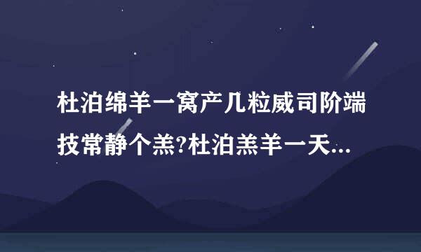 杜泊绵羊一窝产几粒威司阶端技常静个羔?杜泊羔羊一天食多少草?成年母羊每天吃多少草?