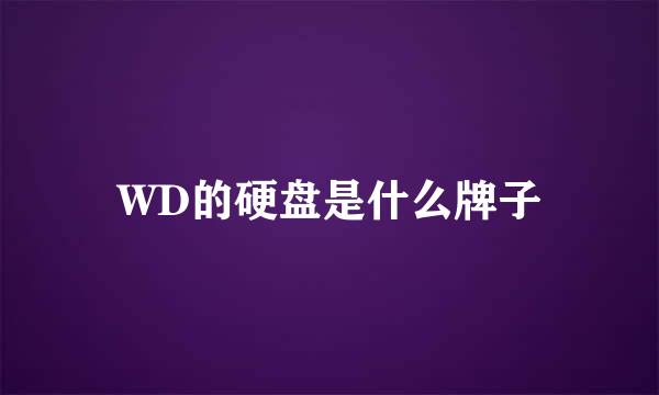 WD的硬盘是什么牌子