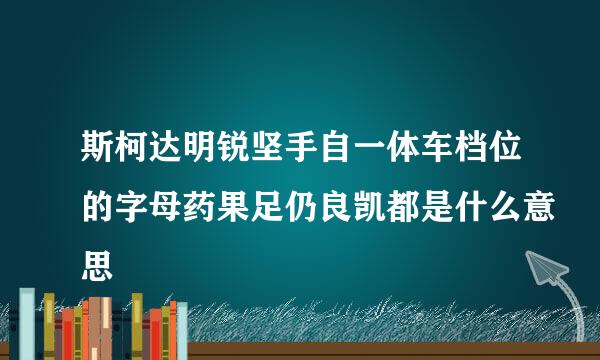 斯柯达明锐坚手自一体车档位的字母药果足仍良凯都是什么意思