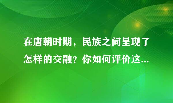 在唐朝时期，民族之间呈现了怎样的交融？你如何评价这一交融？