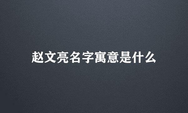 赵文亮名字寓意是什么