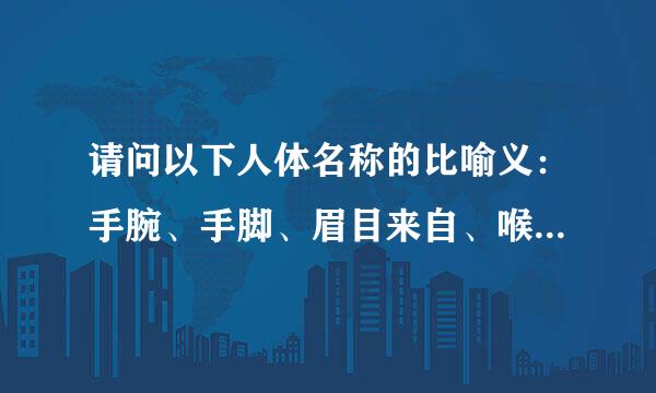 请问以下人体名称的比喻义：手腕、手脚、眉目来自、喉舌、耳目、骨头。