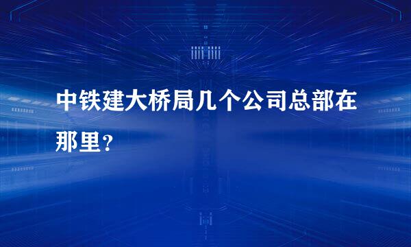 中铁建大桥局几个公司总部在那里？