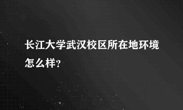 长江大学武汉校区所在地环境怎么样？