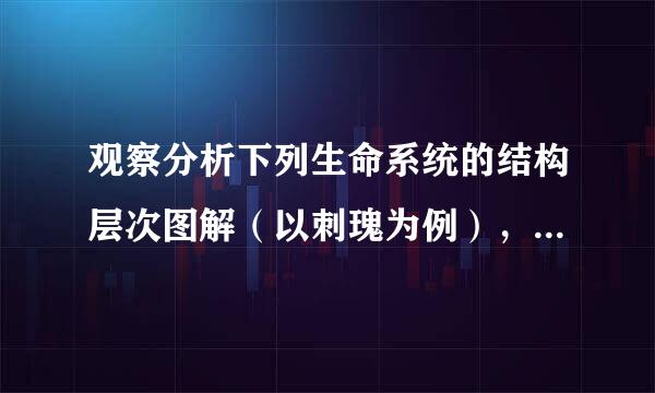 观察分析下列生命系统的结构层次图解（以刺瑰为例），回向丝销站集所答有关问题：