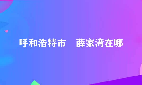 呼和浩特市 薛家湾在哪