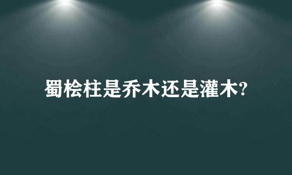 蜀桧柱是乔木还是灌木?