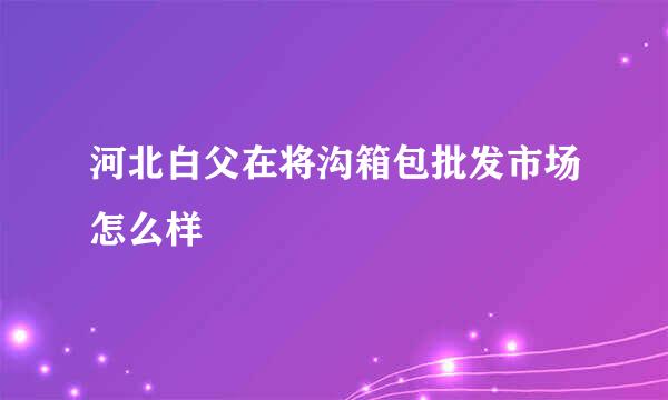 河北白父在将沟箱包批发市场怎么样