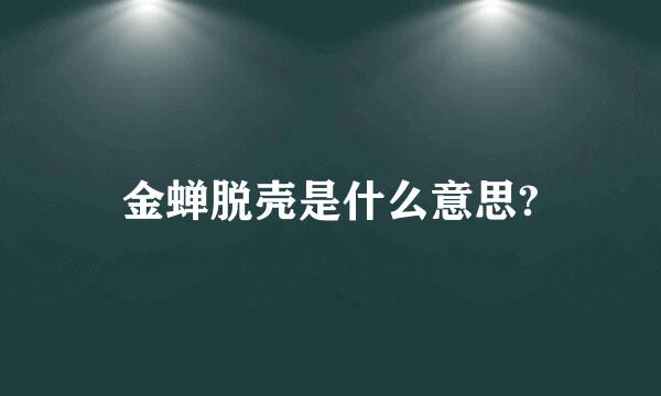 金蝉脱壳是什么意思?