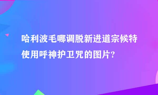 哈利波毛哪调脱新进道宗候特使用呼神护卫咒的图片?