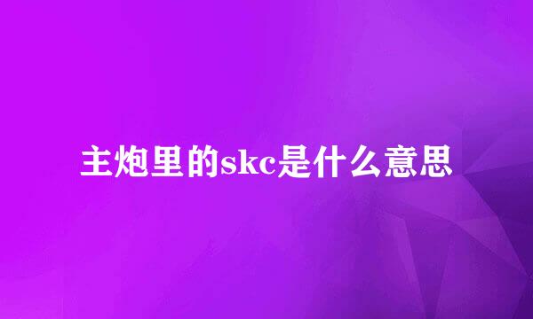 主炮里的skc是什么意思