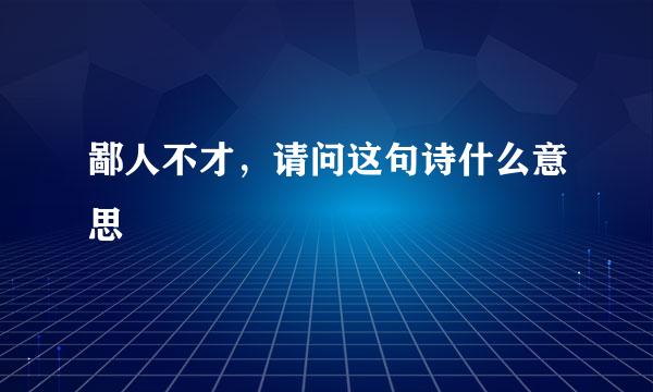 鄙人不才，请问这句诗什么意思