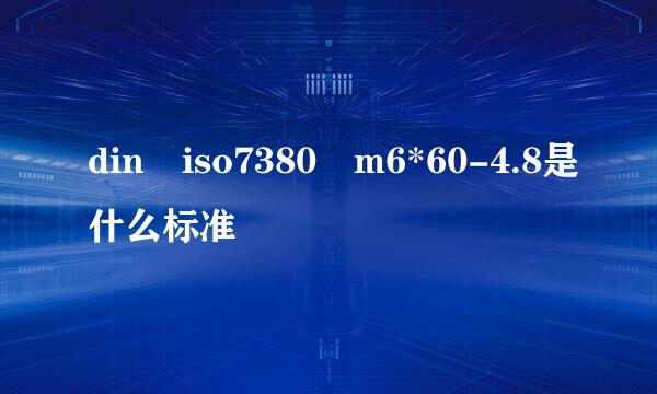 din iso7380 m6*60-4.8是什么标准