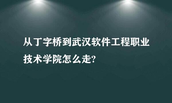 从丁字桥到武汉软件工程职业技术学院怎么走?