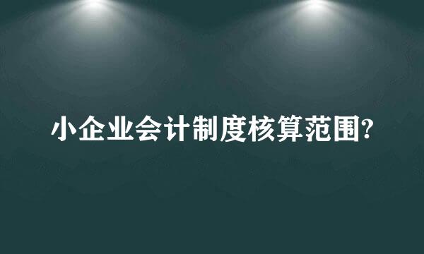 小企业会计制度核算范围?