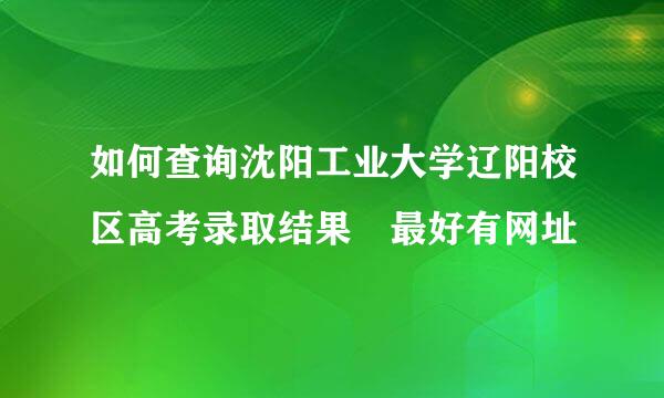 如何查询沈阳工业大学辽阳校区高考录取结果 最好有网址