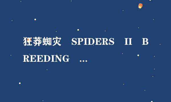 狂莽蜘灾 SPIDERS II BREEDING GROUND怎么样