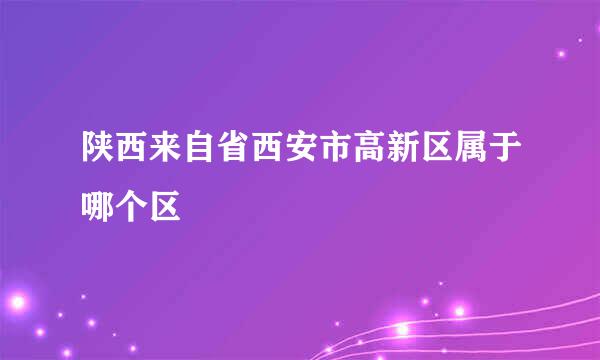 陕西来自省西安市高新区属于哪个区