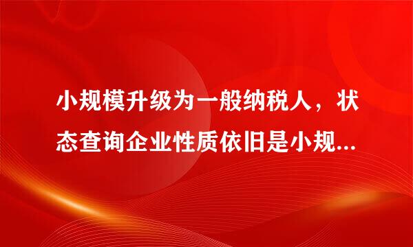 小规模升级为一般纳税人，状态查询企业性质依旧是小规模，是因为没有升级成功吗