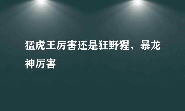 猛虎王厉害还是狂野猩，暴龙神厉害