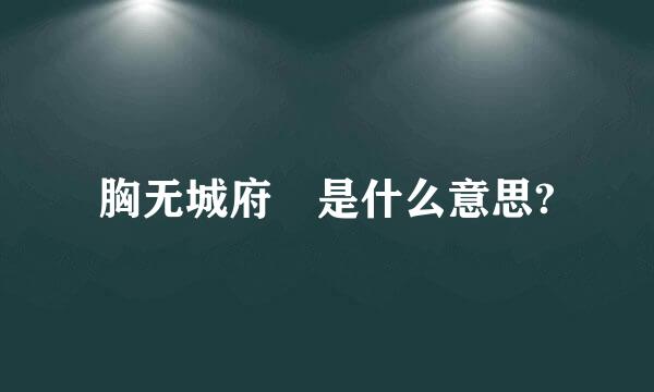 胸无城府 是什么意思?