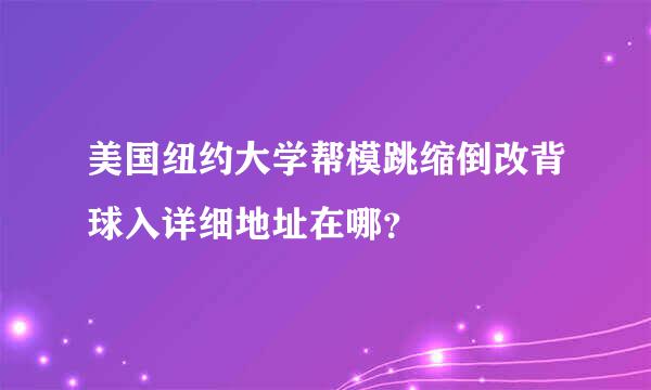 美国纽约大学帮模跳缩倒改背球入详细地址在哪？