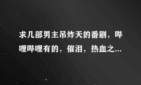 求几部男主吊炸天的番剧，哔哩哔哩有的，催泪，热血之类的番剧