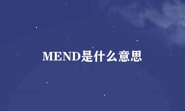 MEND是什么意思