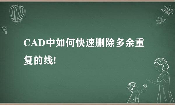 CAD中如何快速删除多余重复的线!