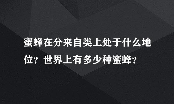 蜜蜂在分来自类上处于什么地位？世界上有多少种蜜蜂？