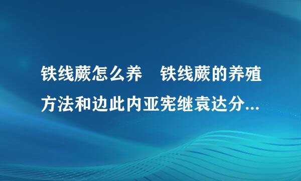 铁线蕨怎么养 铁线蕨的养殖方法和边此内亚宪继袁达分注意事项