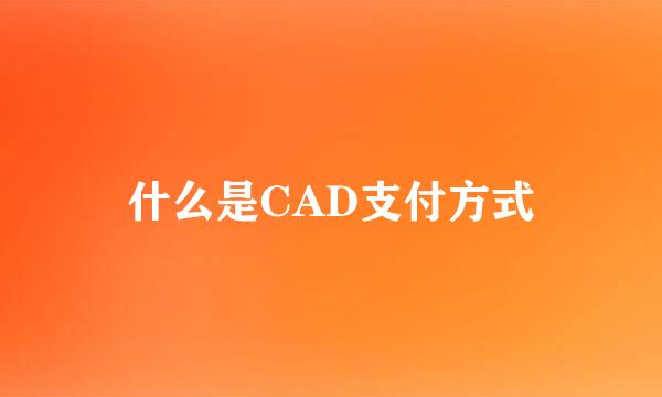 什么是CAD支付方式