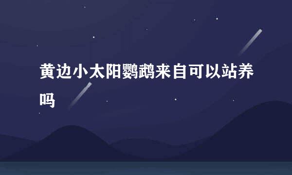 黄边小太阳鹦鹉来自可以站养吗