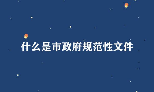 什么是市政府规范性文件