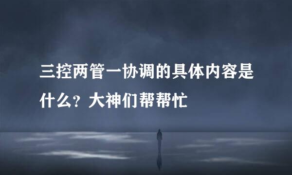 三控两管一协调的具体内容是什么？大神们帮帮忙