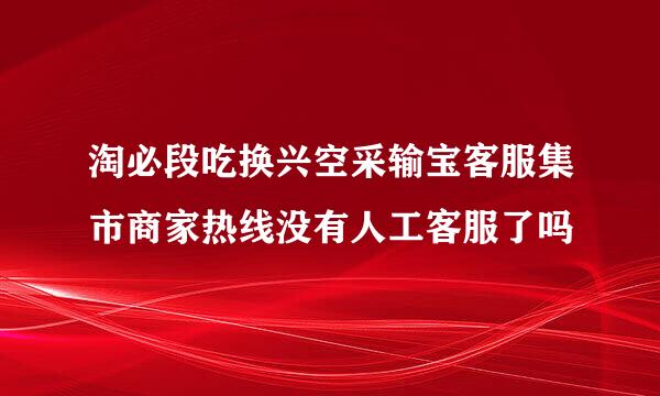 淘必段吃换兴空采输宝客服集市商家热线没有人工客服了吗