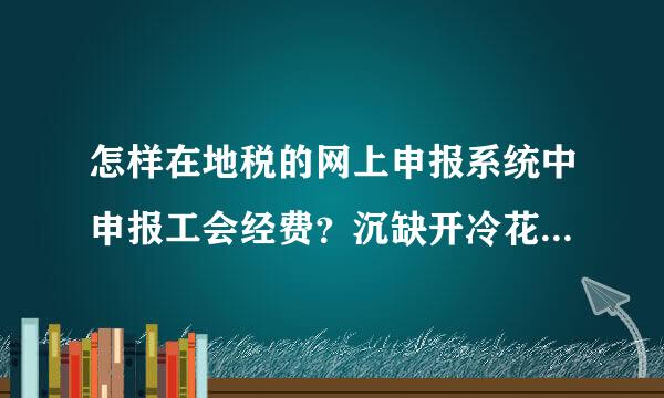 怎样在地税的网上申报系统中申报工会经费？沉缺开冷花论是颐信科技的CA