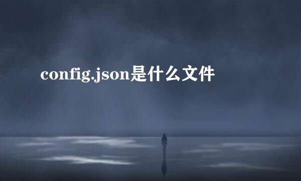 config.json是什么文件