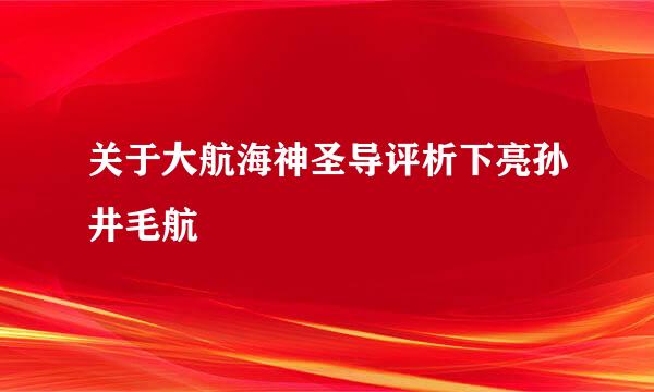 关于大航海神圣导评析下亮孙井毛航