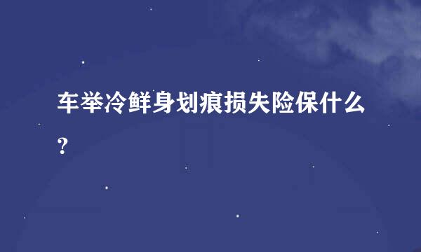 车举冷鲜身划痕损失险保什么？