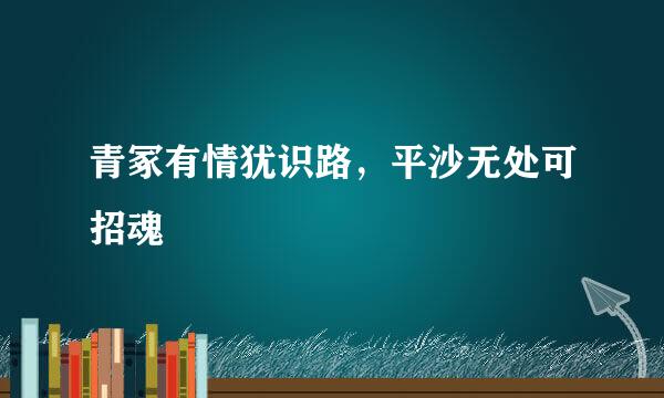 青冢有情犹识路，平沙无处可招魂