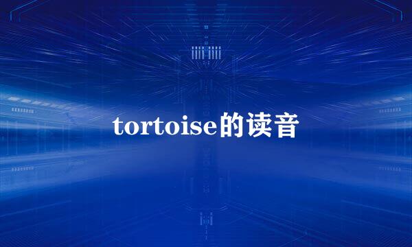 tortoise的读音