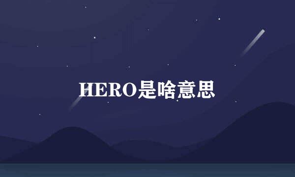 HERO是啥意思