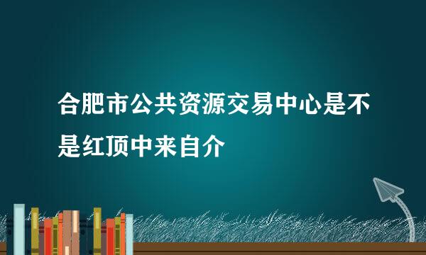 合肥市公共资源交易中心是不是红顶中来自介