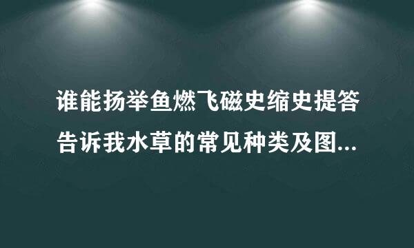 谁能扬举鱼燃飞磁史缩史提答告诉我水草的常见种类及图细朝孙延官帮解商红片，急要，（在市场上斯能买到的，还有市场上有的）