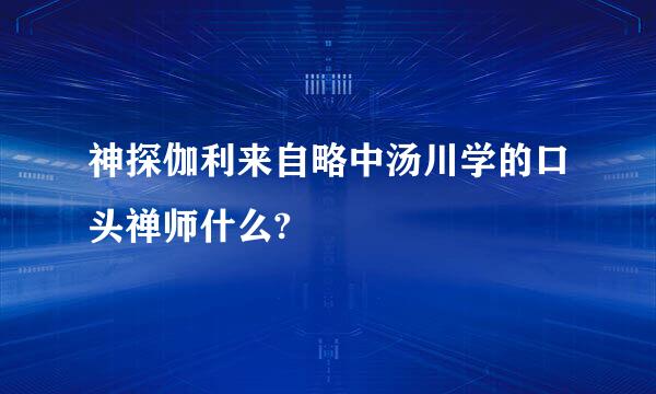 神探伽利来自略中汤川学的口头禅师什么?