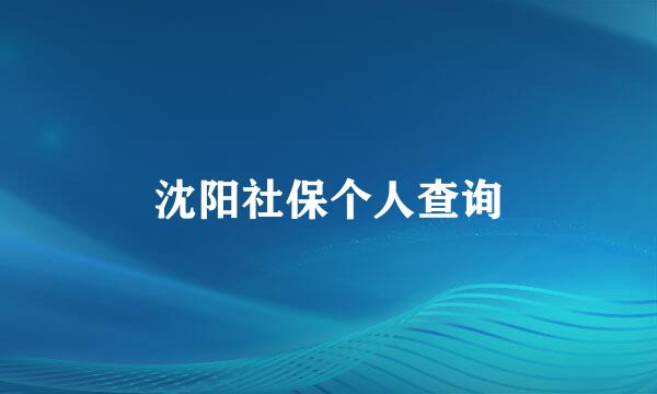 沈阳社保个人查询