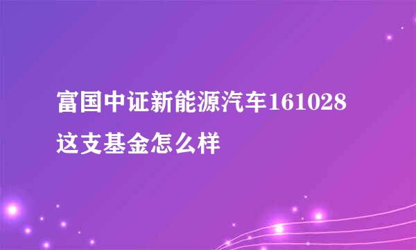 富国中证新能源汽车161028这支基金怎么样