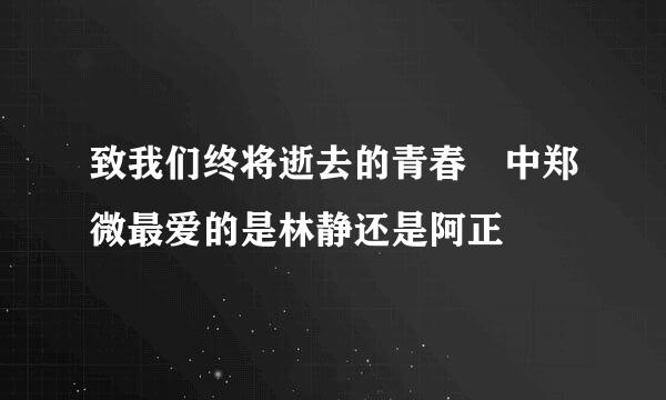 致我们终将逝去的青春 中郑微最爱的是林静还是阿正