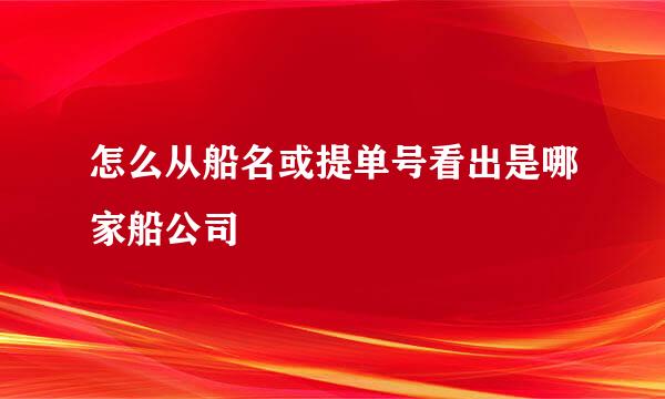 怎么从船名或提单号看出是哪家船公司